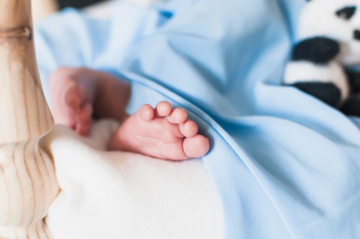 What is a Level 3 NICU? A Simple Guide for Parents / What is a Level 3 NICU? / How is a Level 3 NICU Different from Other Levels? / Why a Baby Might Need Level 3 NICU Care / The Medical Team in a Level 3 NICU / Technology and Equipment in a Level 3 NICU / What Parents Can Expect in a Level 3 NICU / How Long Do Babies Stay in a Level 3 NICU? / Emotional Support for Parents / Cost of Level 3 NICU Care / Preparing for the Transition Home / The Importance of Follow-Up Care / FAQs About Level 3 NICU / Kare One Support Family